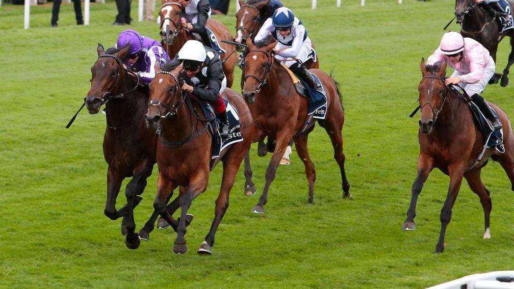 Pink Dogwood (purple) finished second in the Investec Oaks last time