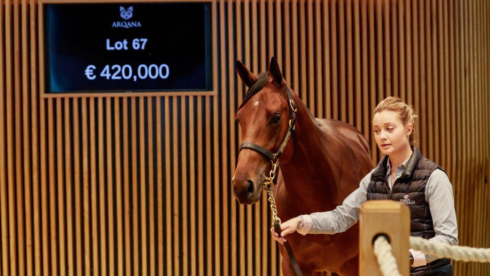 A son of Siyouni was knocked down for €460,000 to Laurent Benoit of Broadhurst Agency on day one of the 2021 Arqana October Yearling sale