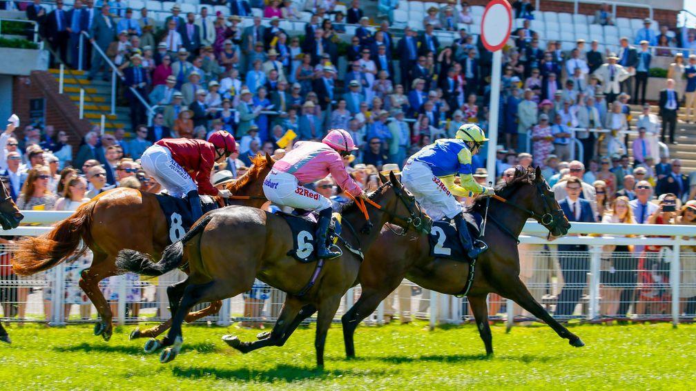Firenze Rosa (Josephine Gordon, nearside) is third at Goodwood earlier this year