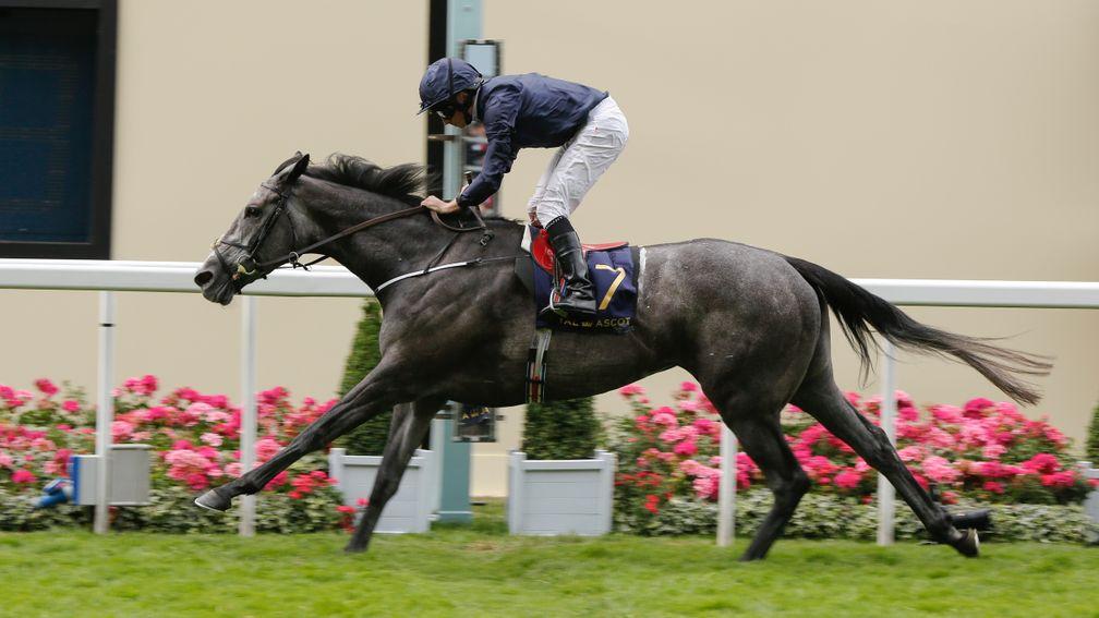Winter, pictured winning the Coronation Stakes, is likely to run in the Nassau at Goodwood