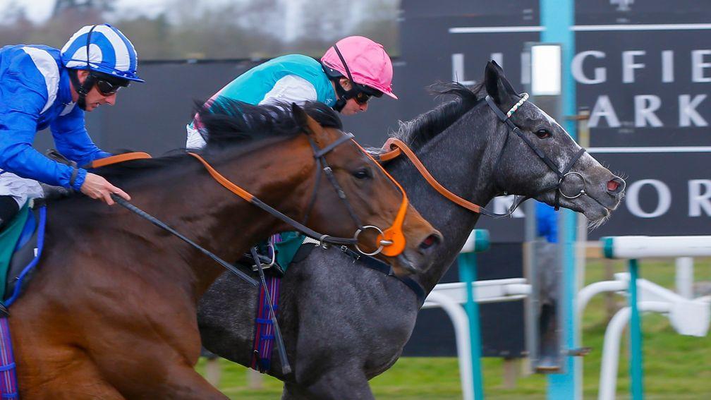 Another recent head-bobbing finish at Lingfield