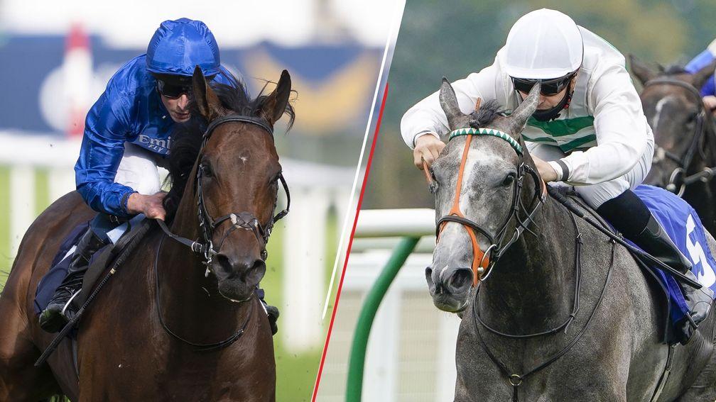 Adayar and Alpinista: could benefit from Shadwell's decision to skip the Arc with Baaeed