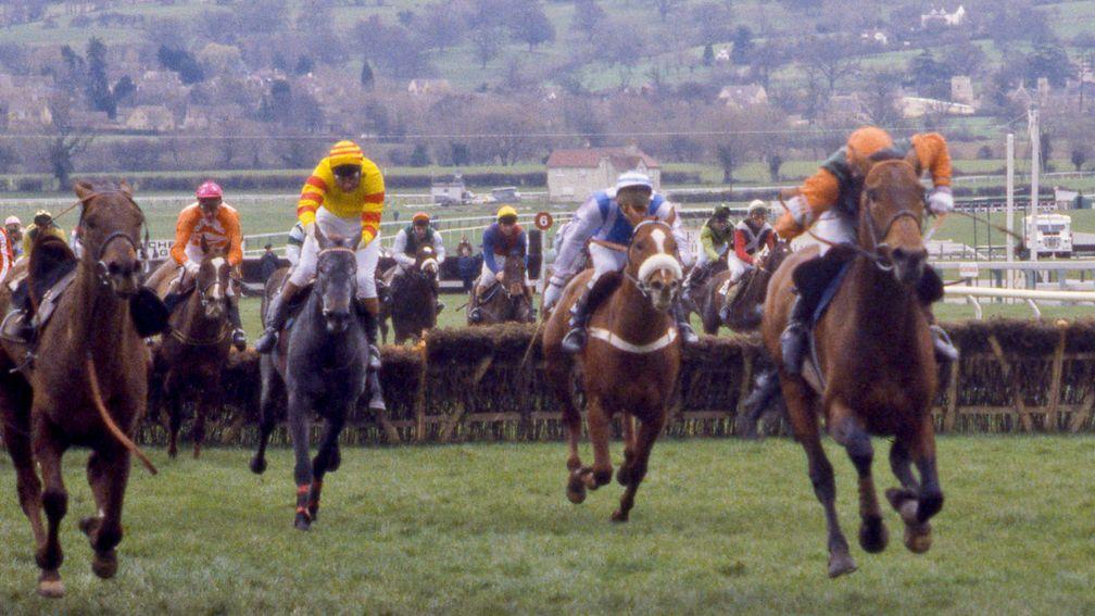 From the clouds: Baron Blakeney (yellow and red, Paul Leach) begins to overhaul Broadsword (Peter Scudamore) up the Cheltenham hill