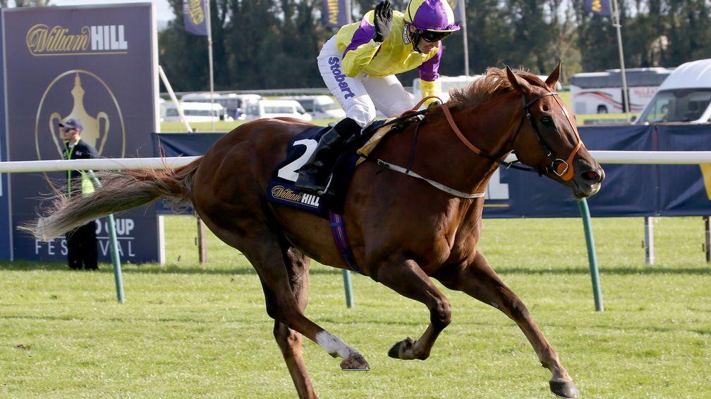 Brando wins the 2016 Ayr Gold Cup under top weight