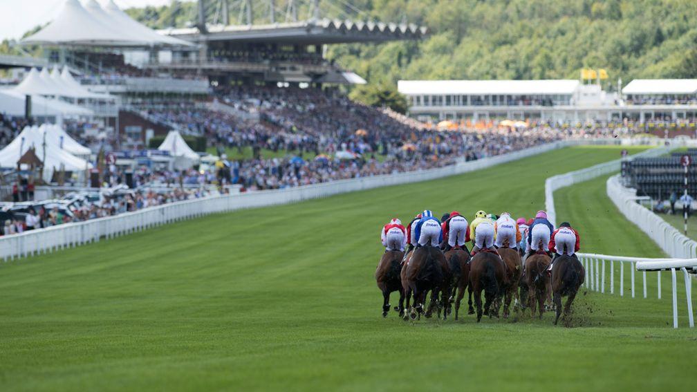 Goodwood: festival provided lots of talking points