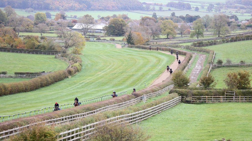 Horses on the gallops at Mark Johnston's Yorkshire base. Trainers have been explaining what happens to their horses at the end of their racing careers