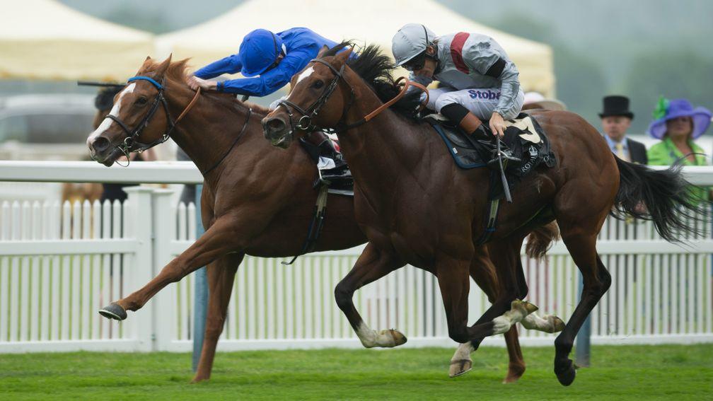 Dawn Approach beats Toronado to win the 2013 St James's Palace Stakes