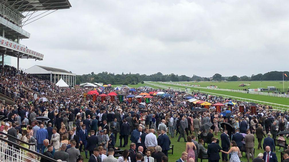 Large crowds have been racing at courses such as York this summer
