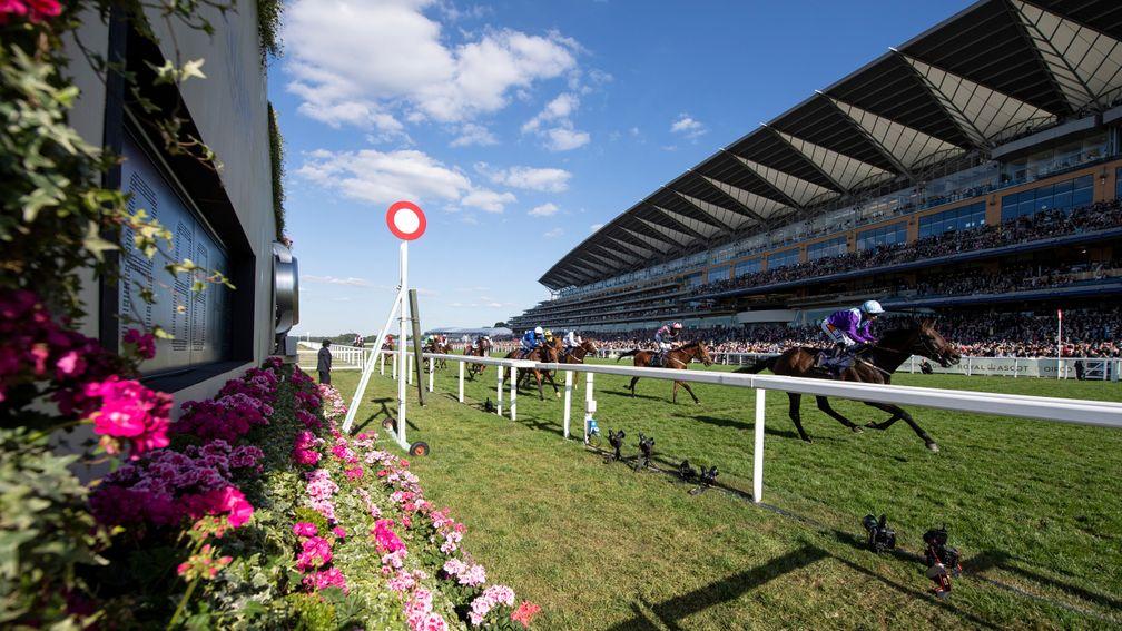 Ascot: the scene of a stunning five days of top-class racing starting on Tuesday, June 15
