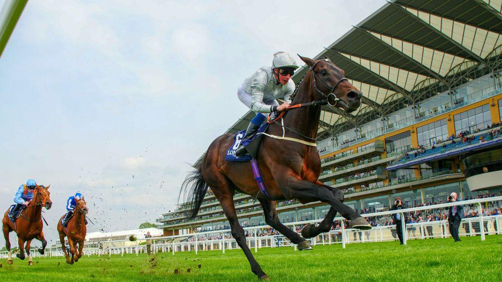 Dee Ex Bee storms to success in the Sagaro Stakes at Ascot this month