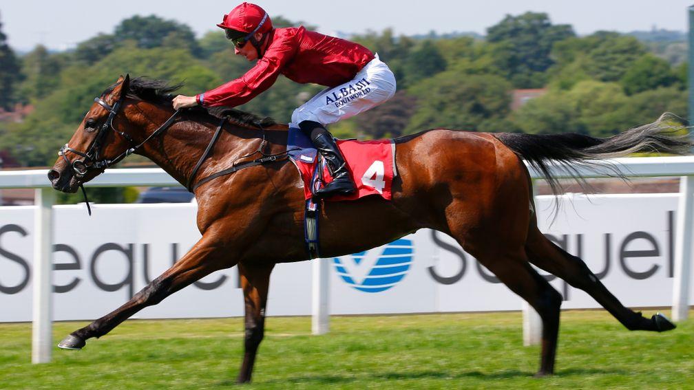 King Of Comedy could drop in class in the Group 2 Joel Stakes at Newmarket