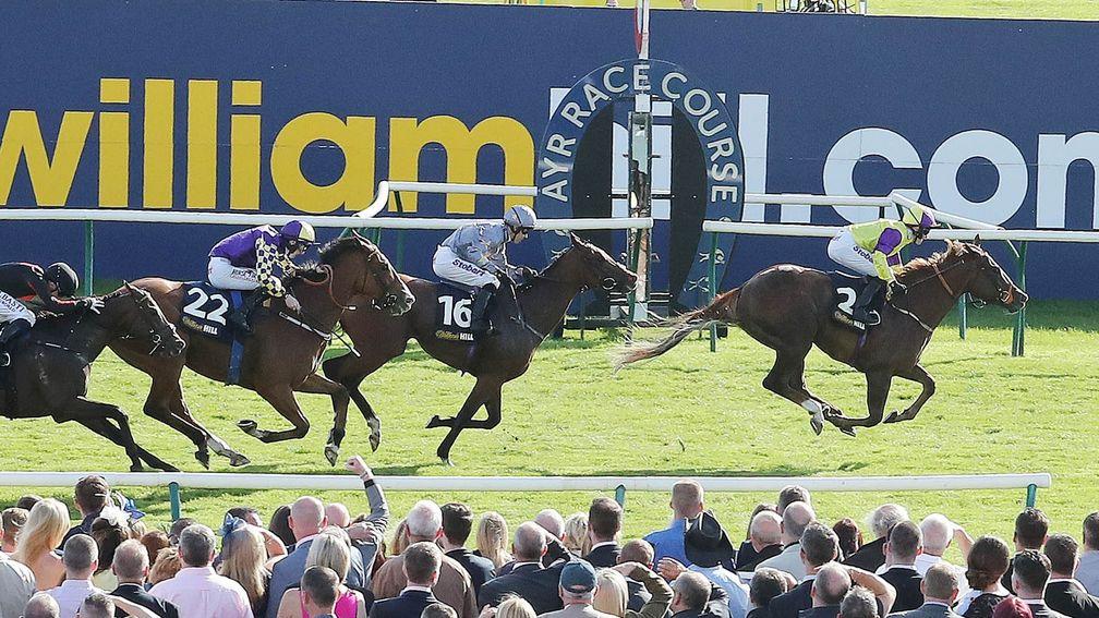 Brando and Tom Eaves win the 2016 Ayr Gold Cup
