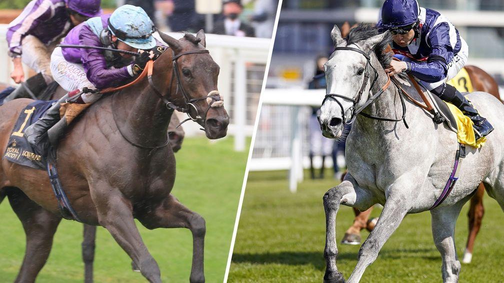 Alcohol Free (left) and Snow Lantern: two leading contenders in Friday's Falmouth Stakes