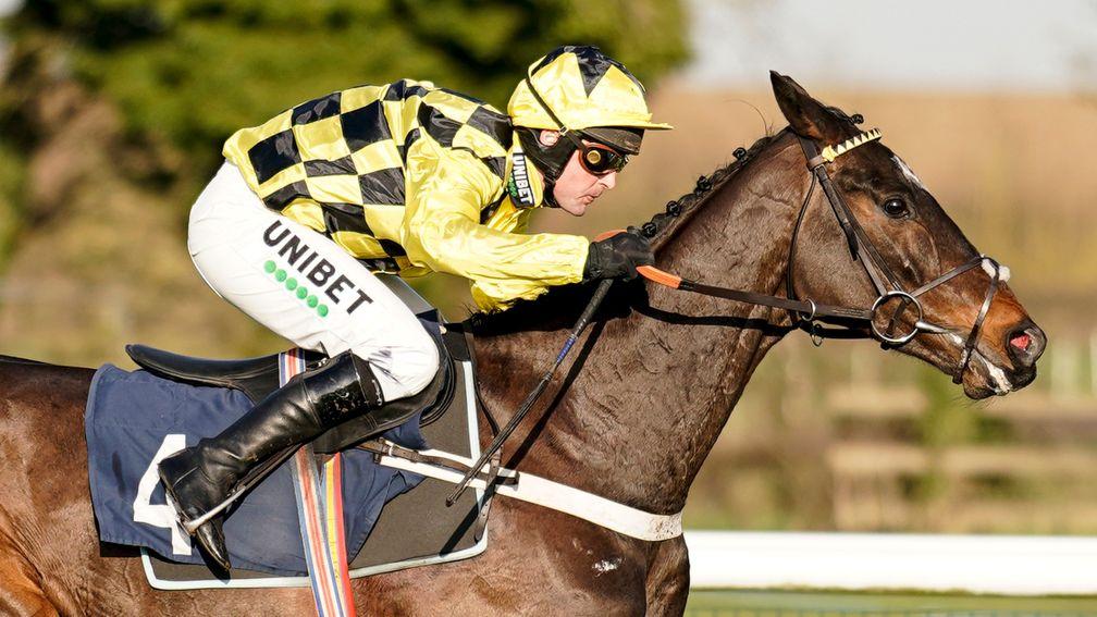 Shishkin: another of Nicky Henderson's talented novice hurdlers