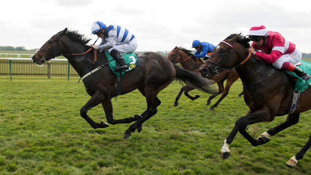 Eminent grise: Frankel colt Eminent comfortably sees off Rivet to land the Craven and stake his 2,000 Guineas claims