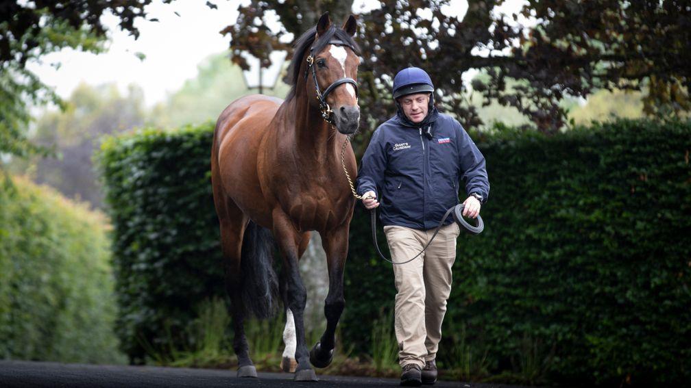 Galileo: the perennial champion sire supplied this 198th Group winner on Thursday