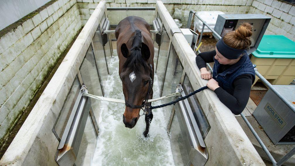Altior exercises on the water treadmill on Tuesday under the watch of Rosie Harbour