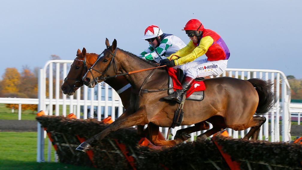 Tidal Flow: runs in the Ballymore Leamington Novices' Hurdle at Warwick