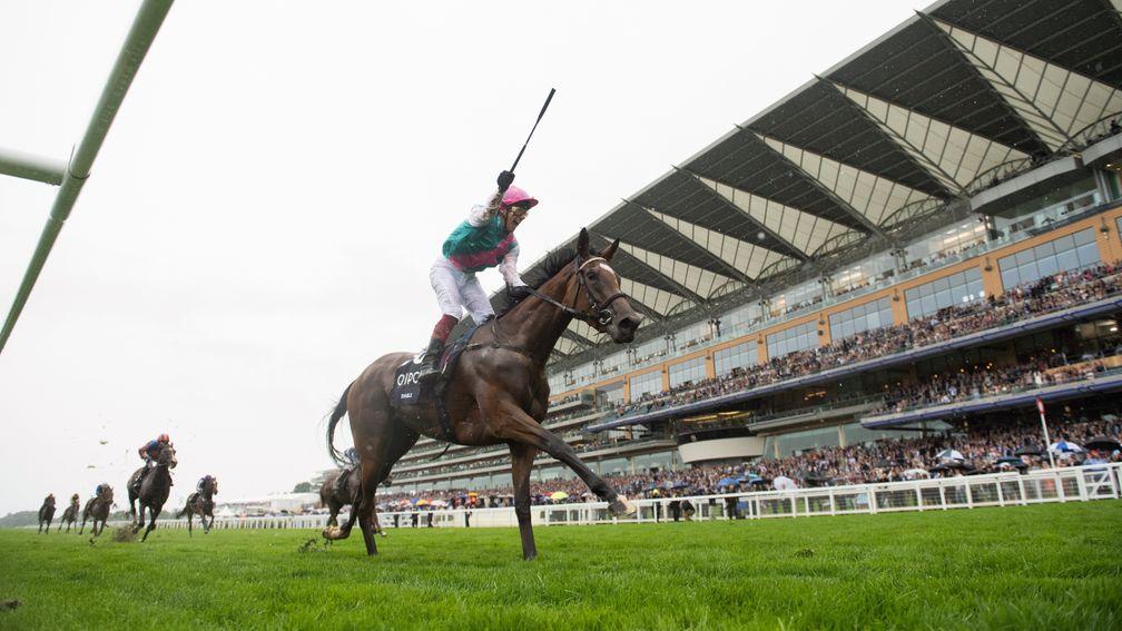 Enable: crowned 2017 Horse of the Year following a string to top-flight successes