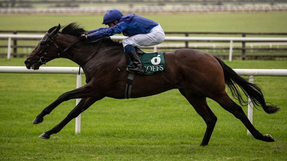 Pinatubo, an outstanding two-year-old last season, has been retired by Godolphin