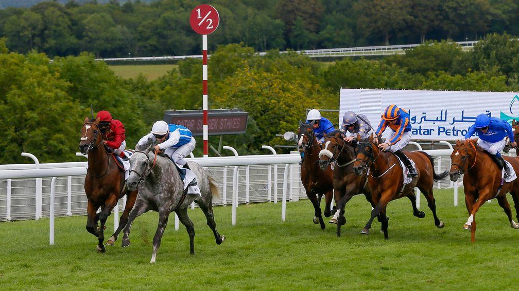 Arod (far side) chases home Solow in the 2015 Sussex Stakes at Goodwood