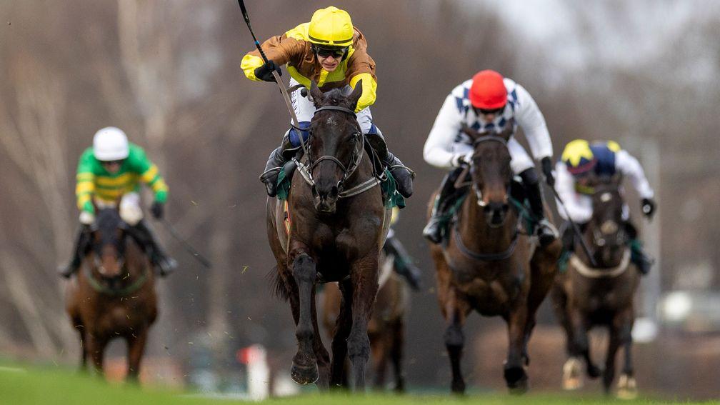 Galopin Des Champs: exciting chaser dominant in the Irish Gold Cup