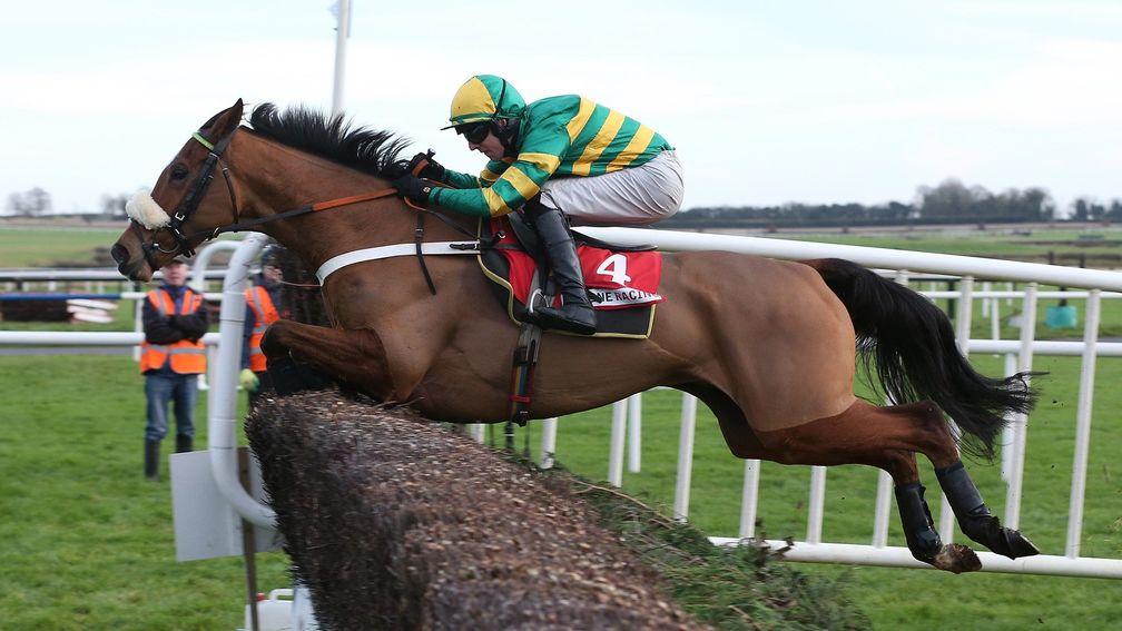 Coney Island: Cheltenham plans on hold after disappointing display at Ascot