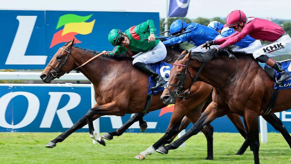 Vadeni (green), Mishriff (red) and Native Trail (blue) could face off again at Leopardstown