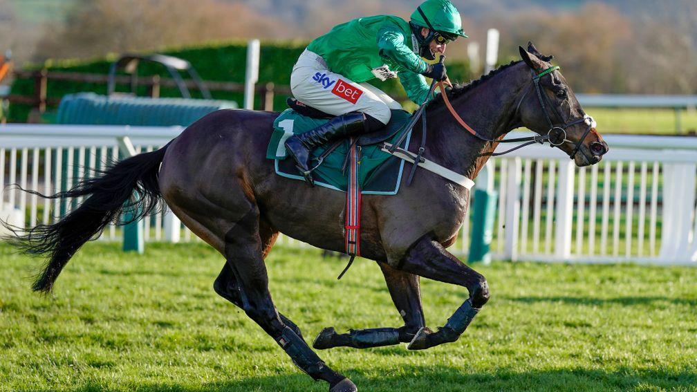 Fusil Raffles: left last month's poor run well behind in winning the 2m4½f novice chase