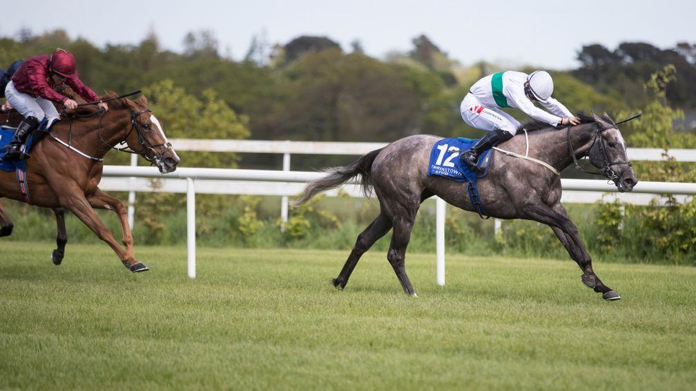 Who's Steph: pulls clear to win the Derrinstown Stud 1,000 Guineas Trial Stakes at Leopardstown