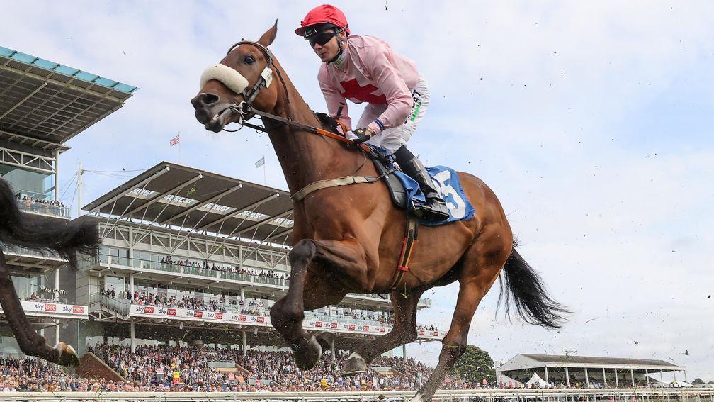 Arcadian Sunrise: 8-1 chance for the Ascot Stakes