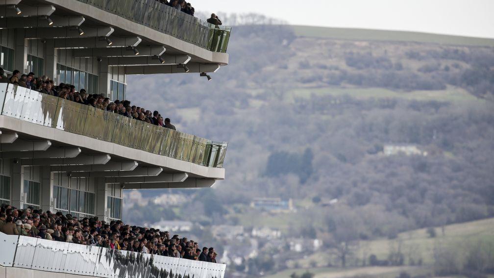 The Cheltenham crowd – every bit as much about heart as pocket  – looked on anxiously as Ruby Walsh was being attended to