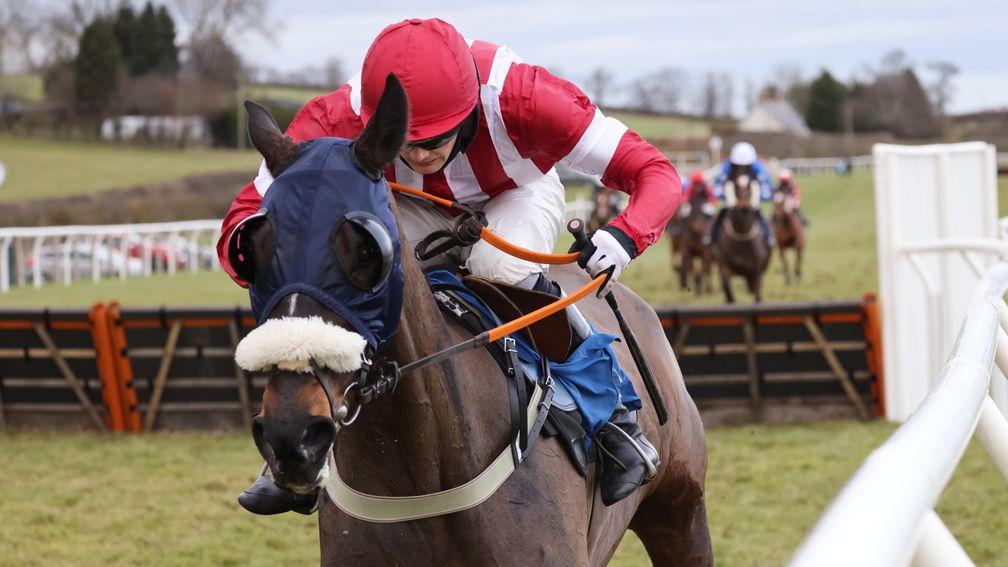 Ryedale Racer: defied his previous form to cause an 80-1 shock at Kelso