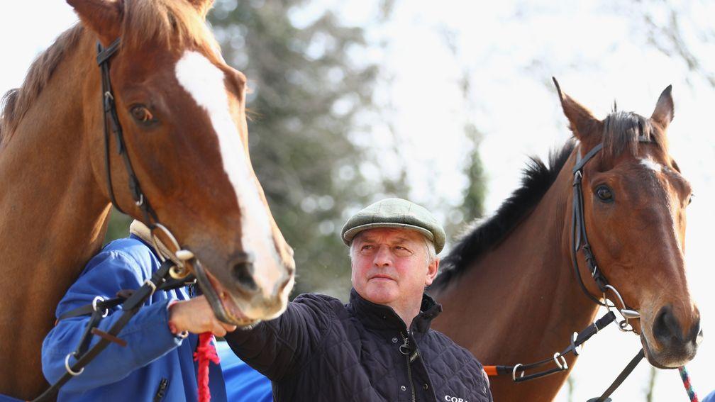 Colin Tizzard flanked by the evergreen Cue Card (right) and leading Gold Cup contender Native River