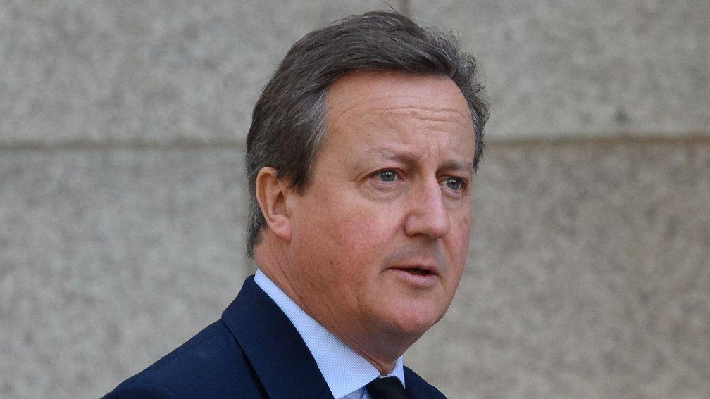 David Cameron enjoyed a profitable afternoon at Newbury on Saturday