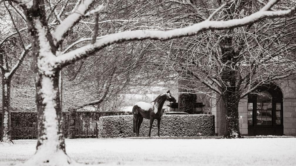 Entries for the 2022 Stallion Book edition are closing in the coming weeks