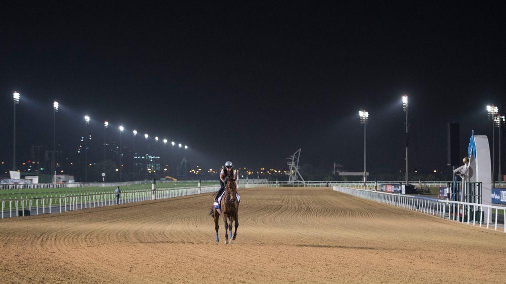 The Racing In Dubai September Sale takes place on Saturday