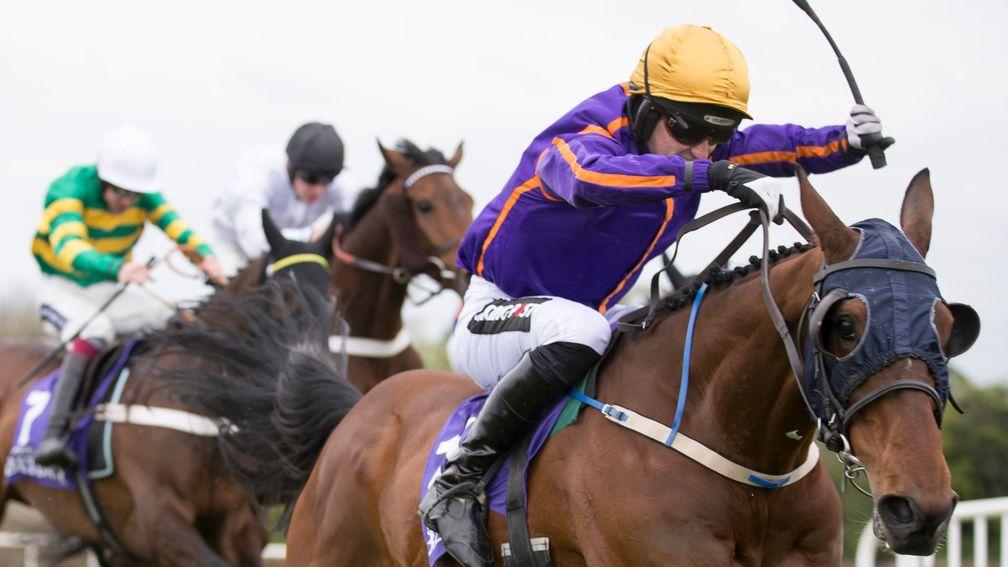 Wicklow Brave scored at the highest level over hurdles when winning the Punchestown Champion Hurdle