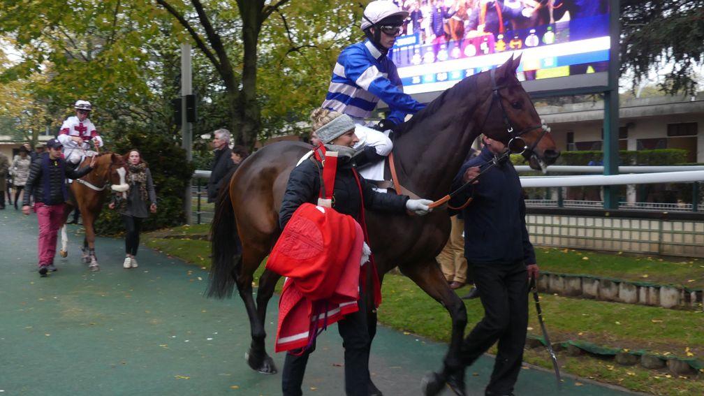 Pic D'Orhy and Harry Cobden head out for the Prix Renaud du Vivier at Auteuil