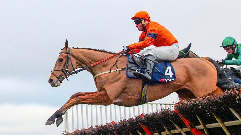 Sam Spinner was the beaten favourite in last year's Stayers' Hurdle