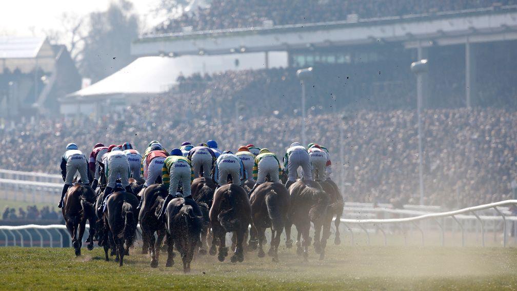 CHELTENHAM, ENGLAND - MARCH 17:   A general view as runners turn into the straight in The Pertemps Network Final clear a hurdle in the country during Cheltenham Festival - St Patrick's Thursday at Cheltenham racecourse on March 17, 2016 in Cheltenham, Eng