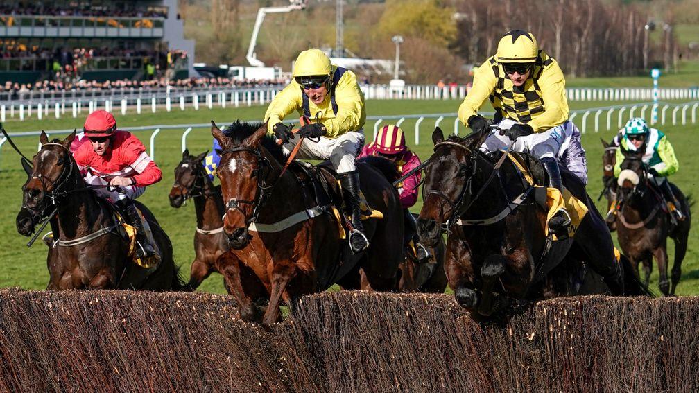 CHELTENHAM, ENGLAND - MARCH 13: Paul Townend riding Al Boum Photo (R, yellow/black check) clear the last to win The Magners Cheltenham Gold Cup Chase on Gold Cup day at Cheltenham Racecourse on March 13, 2020 in Cheltenham, England. (Photo by Alan Crowhur