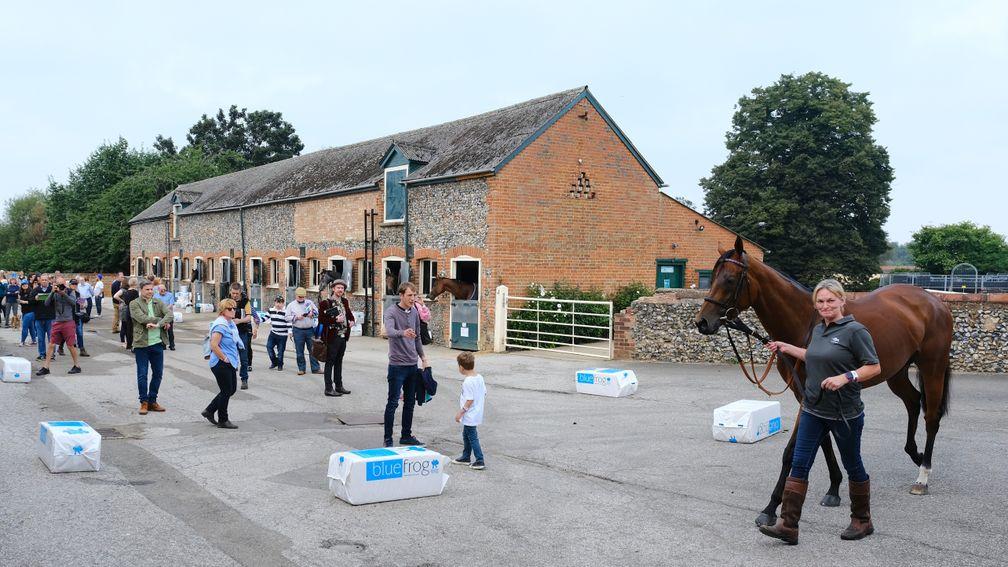 Lady Bowthorpe is paraded in front of the crowds at Phantom House Stables
