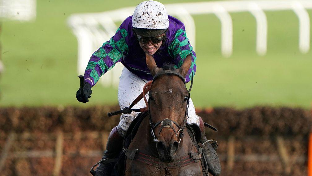 Thyme Hill: looking to make it three from three over hurdles at Newbury