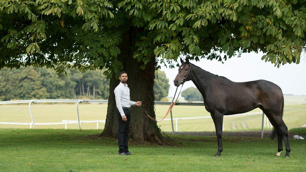 Altior and his groom Mohammed Hussain pose at Nicky Hendersonâs owners day at Seven BarrowsLambourn 24.9.17 Pic: Edward Whitaker
