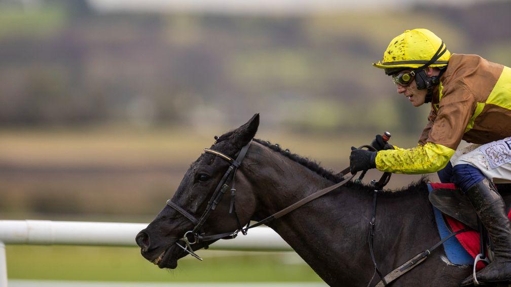 Galopin Des Champs and Paul Townend on their way to victory in the John Durkan Memorial Punchestown Chase