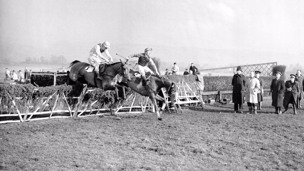 National Spirit (right) stumbles and falls at the last, leaving Hatton’s Grace to win his third Champion Hurdle in 1951