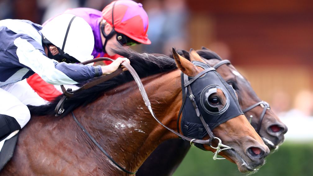 Head to head: Circus Maximus (near side) and Romanised battle out the finish of the Prix du Moulin