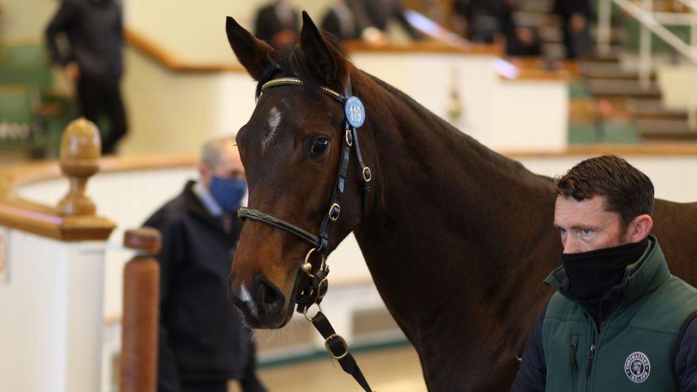 Alcohol Free's half-sister exits the ring