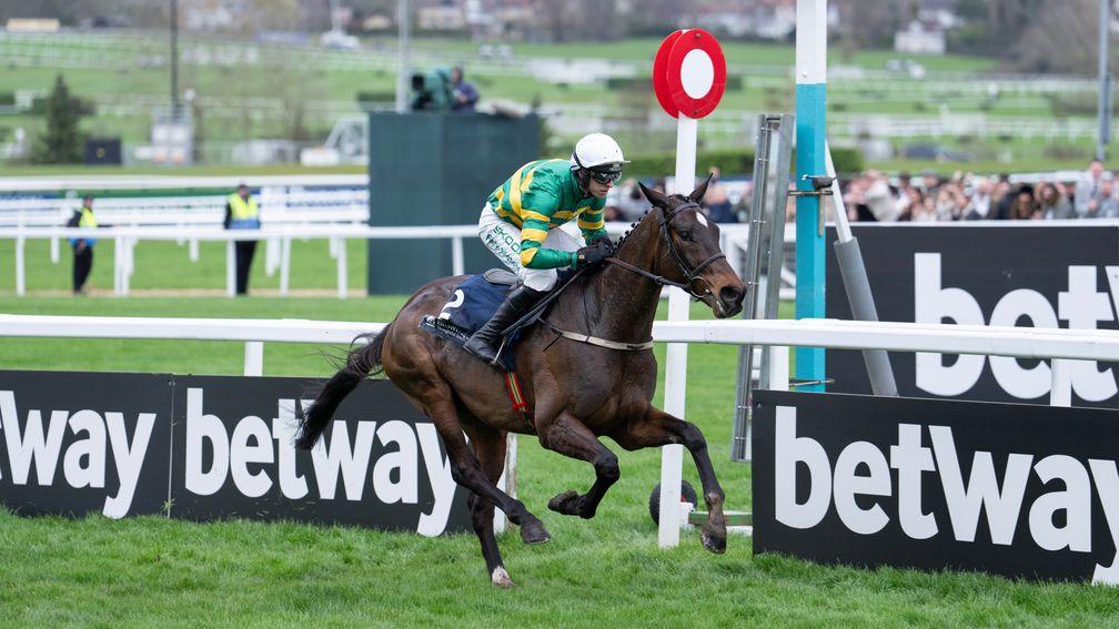  Fact to File (Mark Walsh) wins the Brown Advisory Novices' Chase at Cheltenham